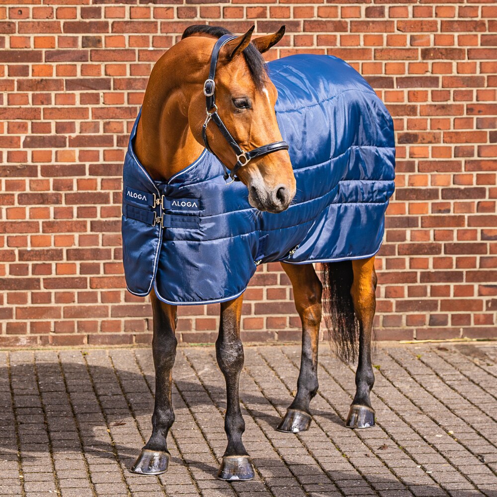 Stable rug  Stable Blanket 150g Aloga Equestrian