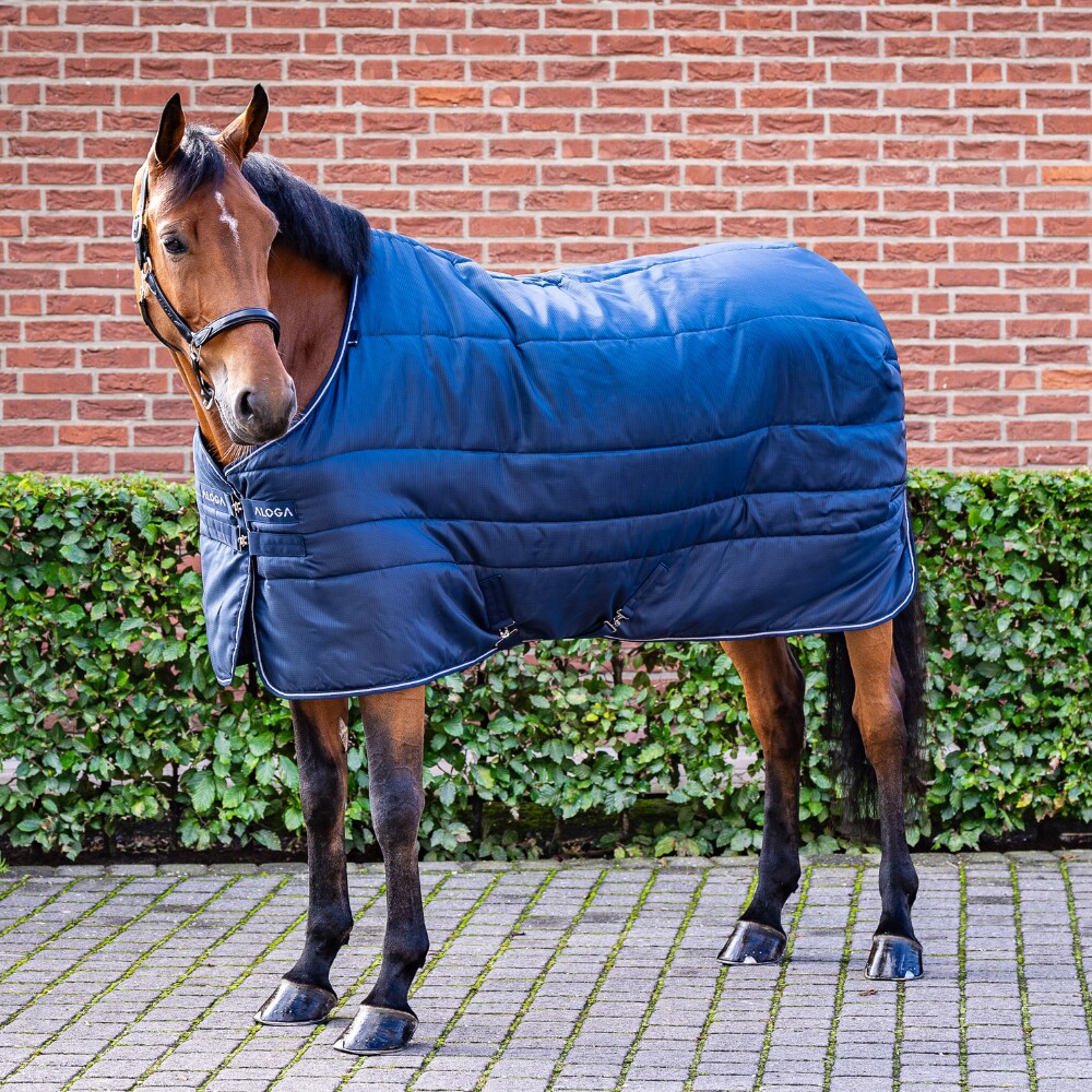 Stable rug  Stable Blanket 150g Aloga Equestrian