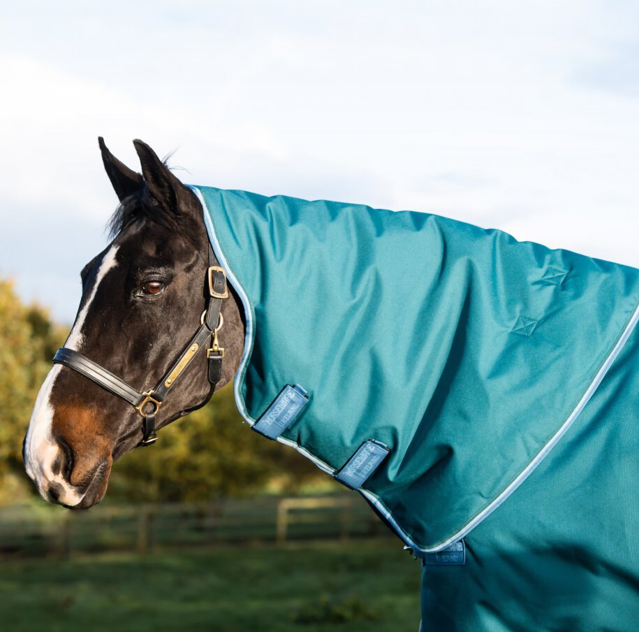 Winter rug  Amigo® Bravo Plus Heavy 400 Horseware®