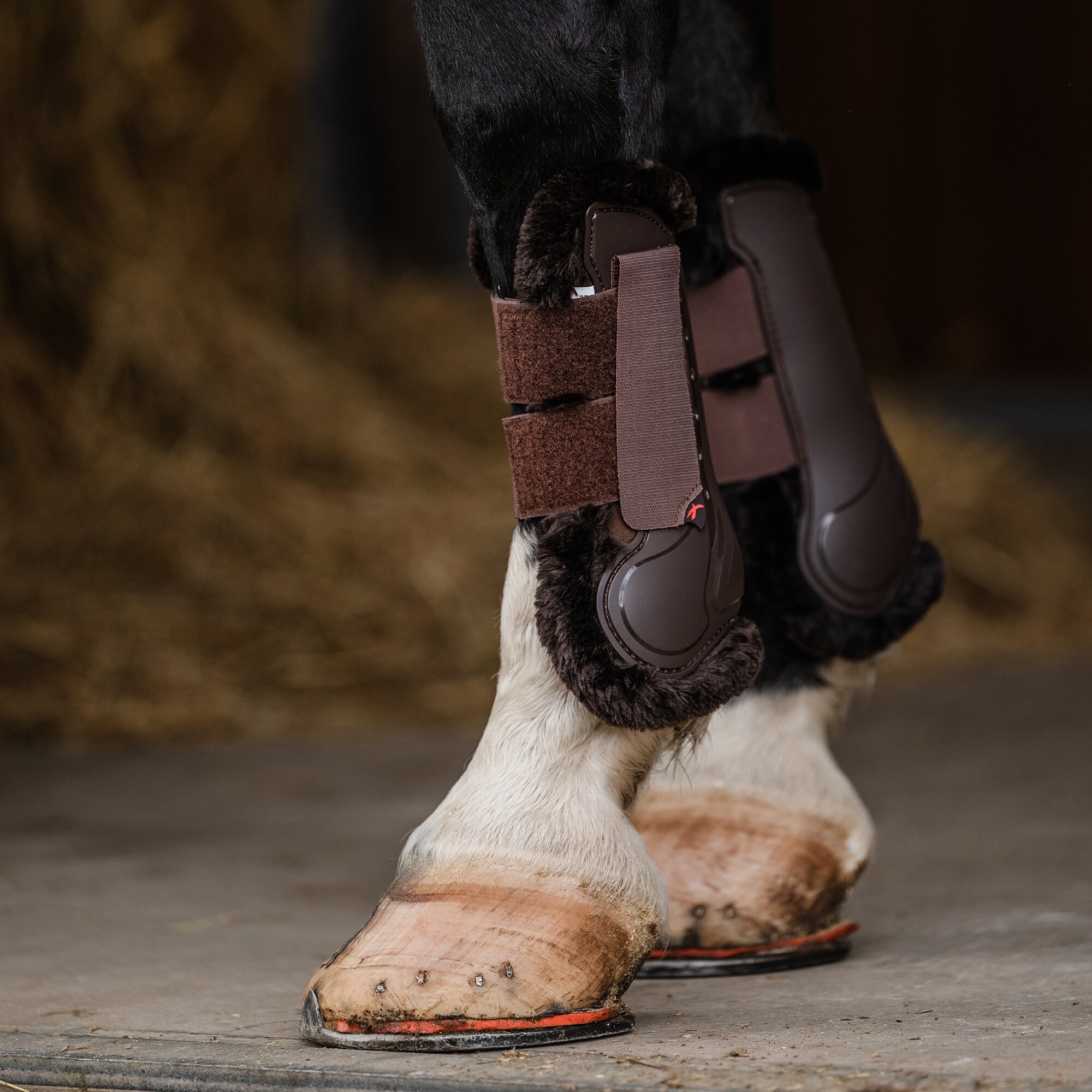 Tendon boot  Endevour 3D EquiXpert®