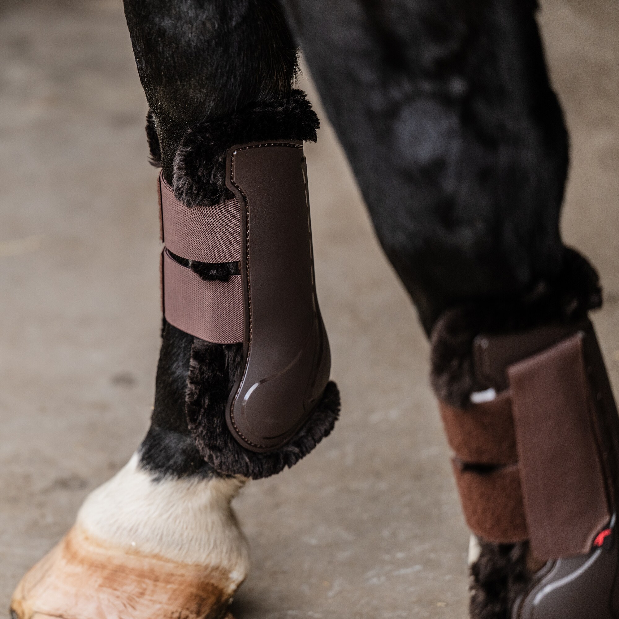 Tendon boot  Endevour 3D EquiXpert®