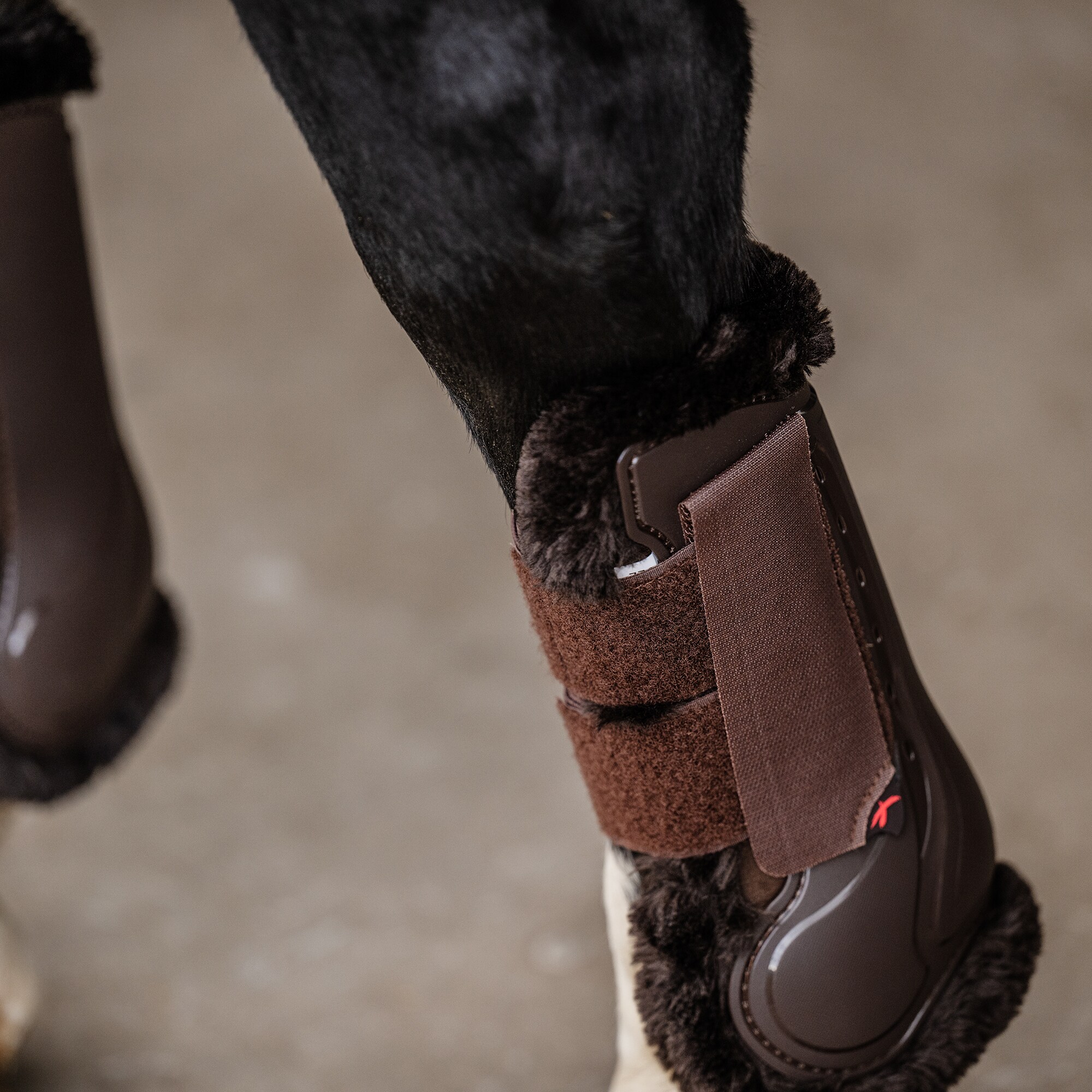 Tendon boot  Endevour 3D EquiXpert®