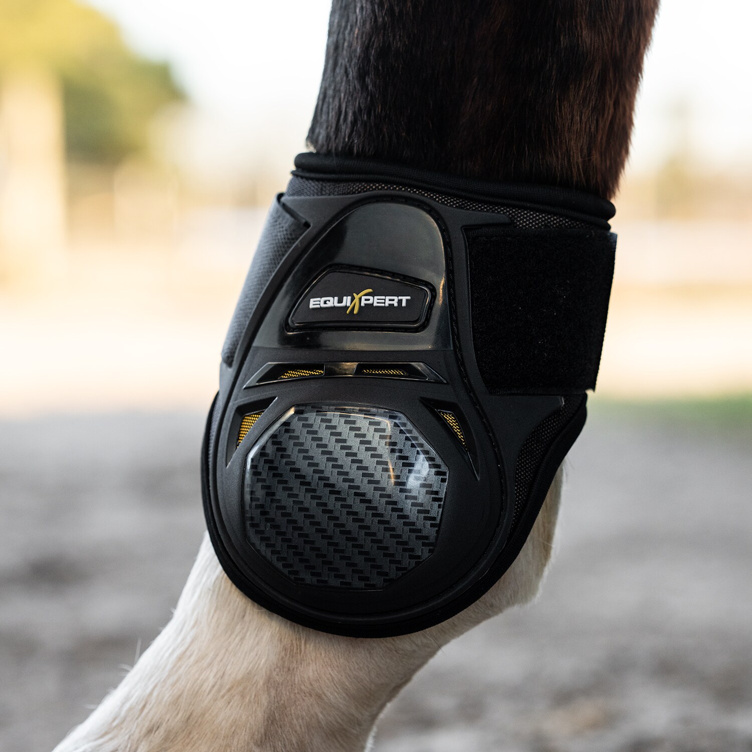 Fetlock boots  Elevate EquiXpert®