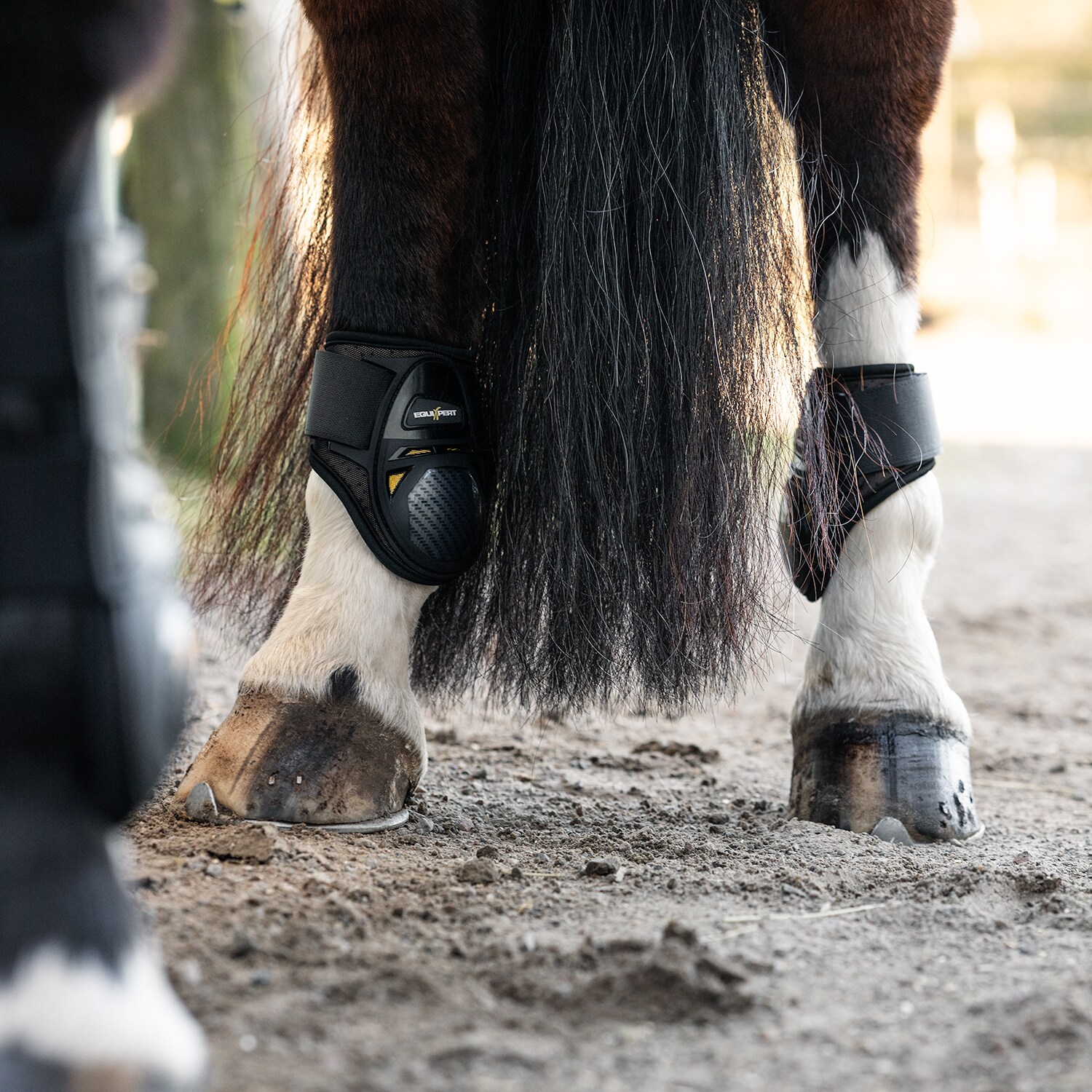 Fetlock boots  Elevate EquiXpert®