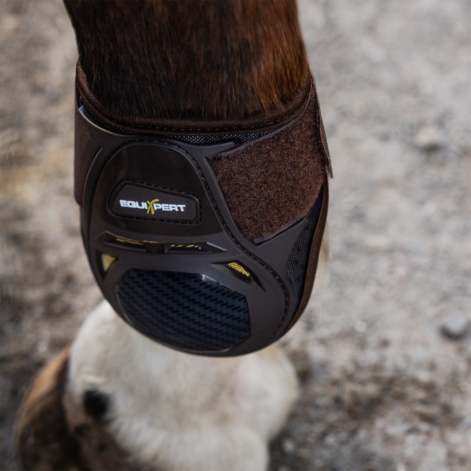 Fetlock boots  Elevate EquiXpert®