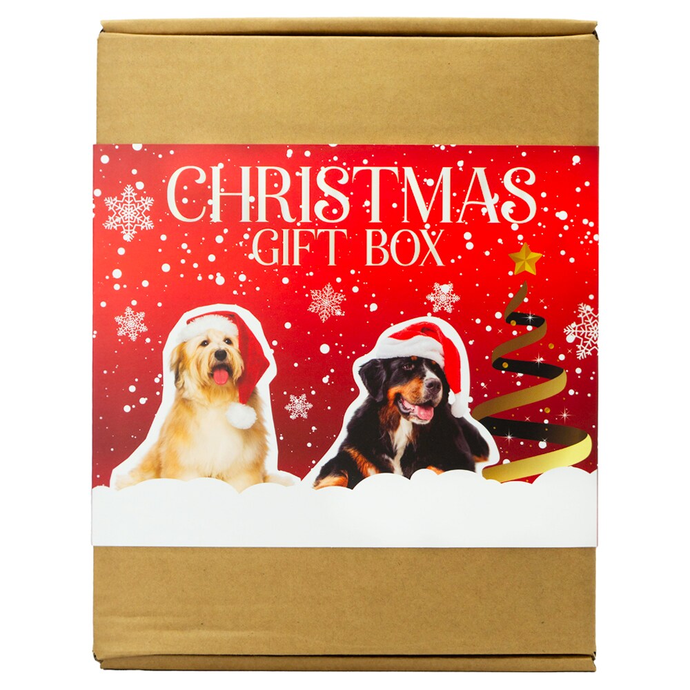   X-Mas Giftbox for Dogs Treateaters