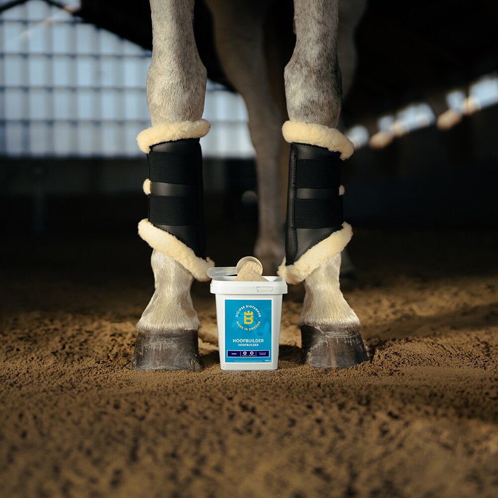 Hoof feed supplement  Hoofbuilder Eclipse Biofarmab