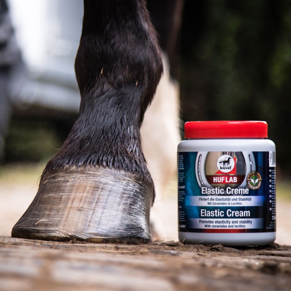 Hoof cure   leovet®