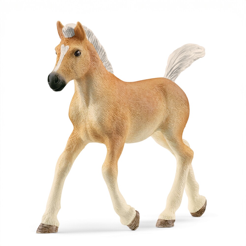 Toy  Haflinger foal Schleich