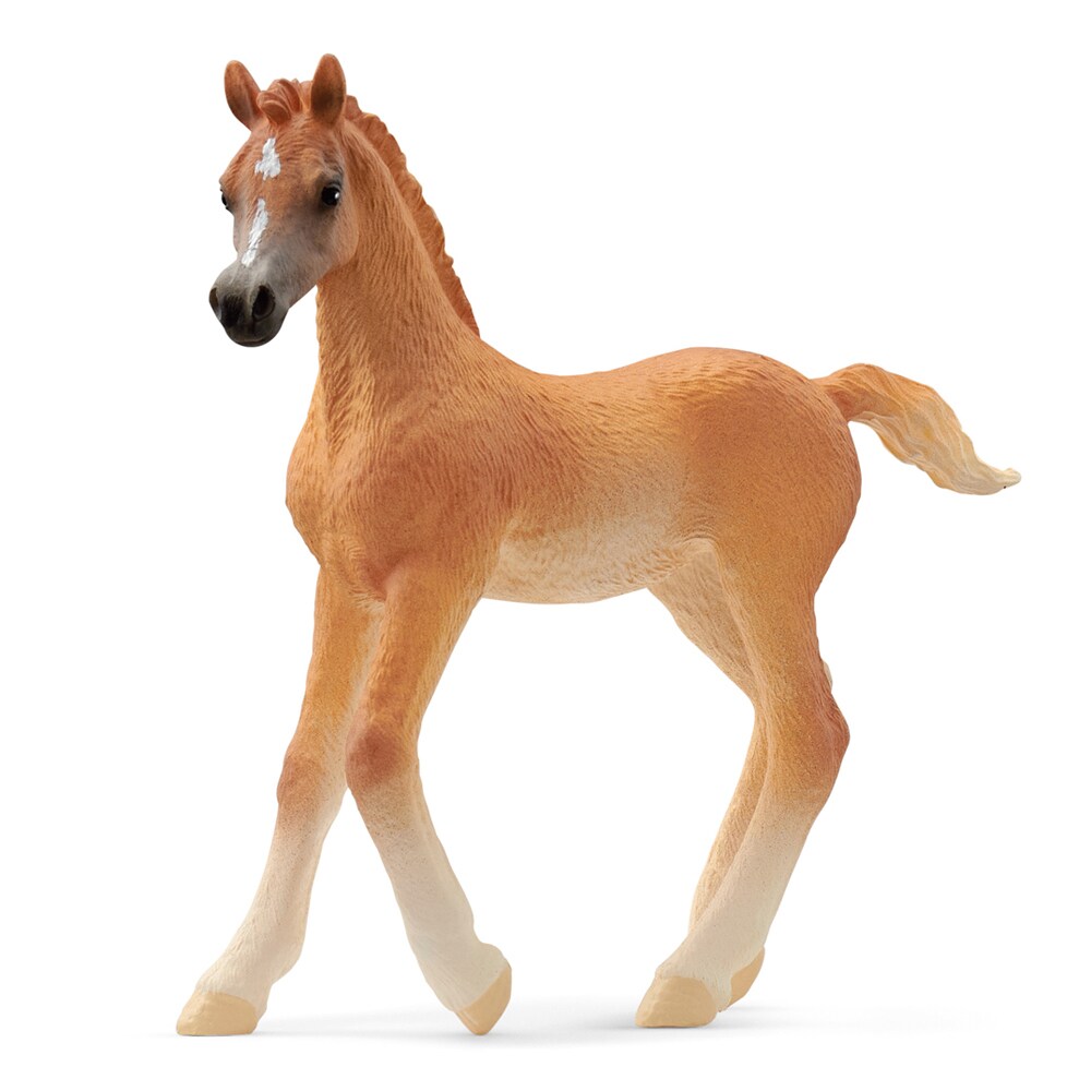 Toy  Arab foal Schleich