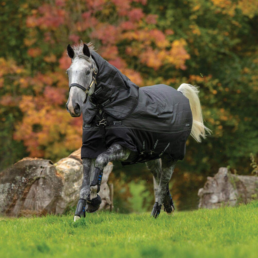 Winter rug 250 g Amigo Bravo 12 Reflectech Plus Turnout Horseware®