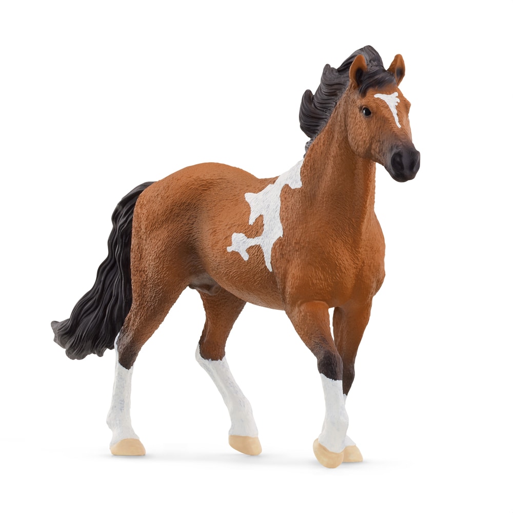 Toy  Mangalarga Marchador Stallion Schleich