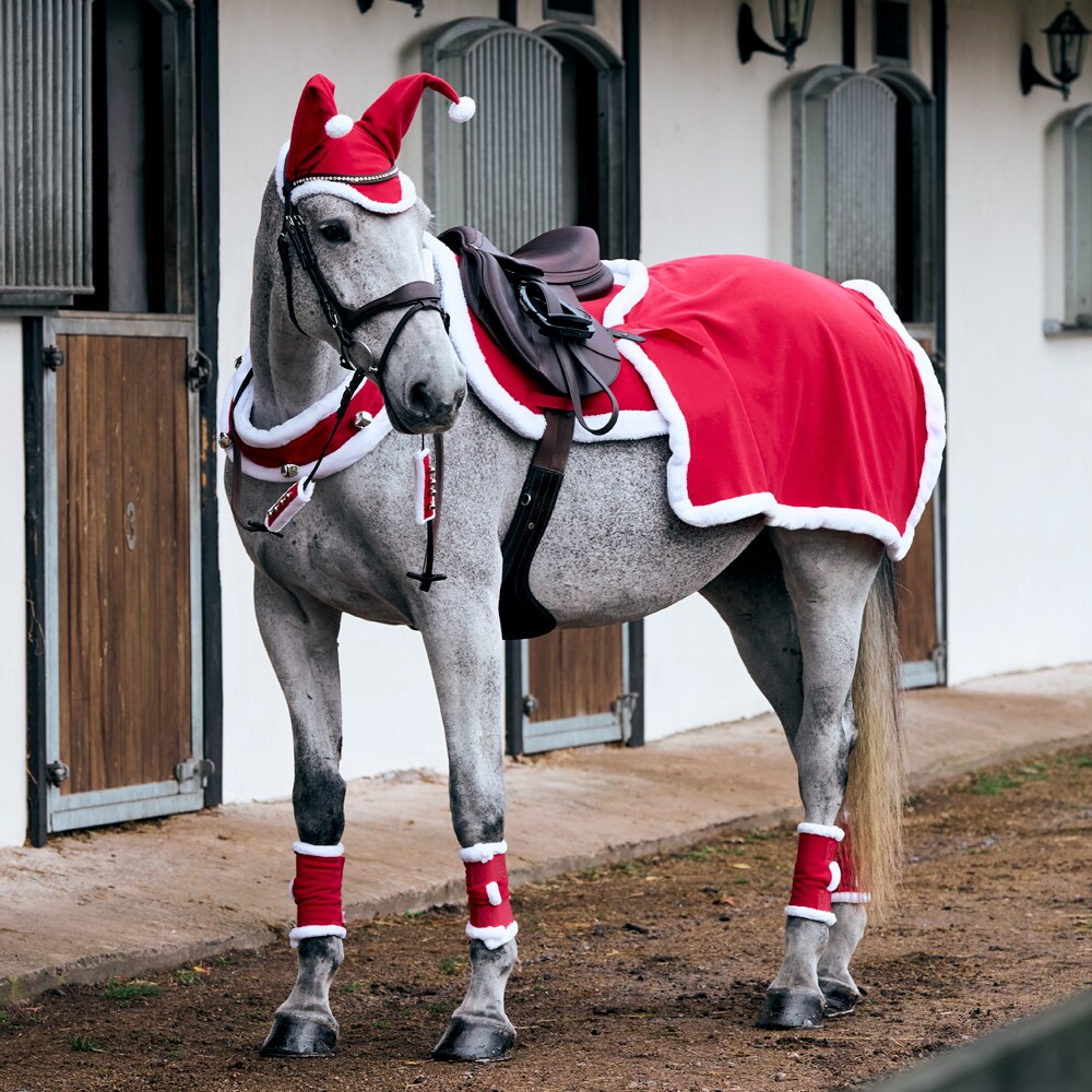 Christmas hat  Rudolf CRW®