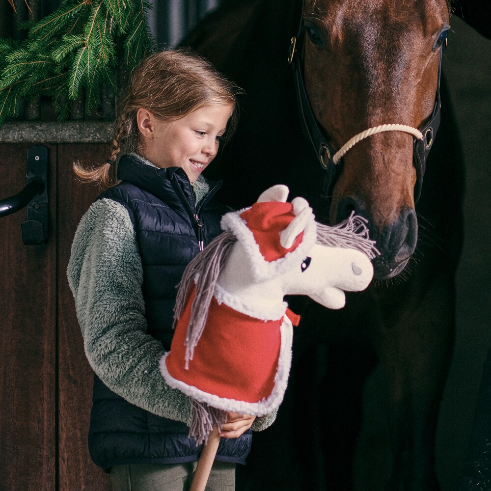 Hobby horse rug  Claus Hööks